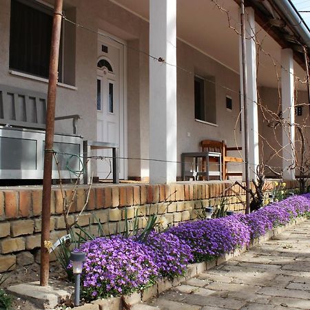 Julia Apartman Pacir Екстериор снимка